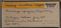 Image Associated With the Occurence
